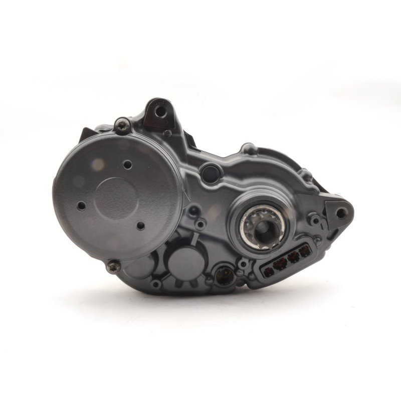 e bike graveler esm 3100 PROPHETE 22.ESM.10 E-MTB 27,5